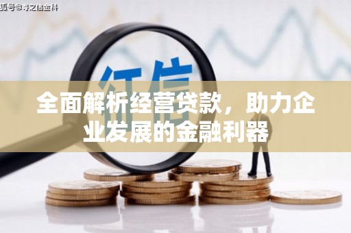 回民全面解析经营贷款，助力企业发展的金融利器