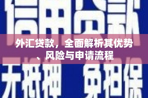 回民外汇贷款，全面解析其优势、风险与申请流程