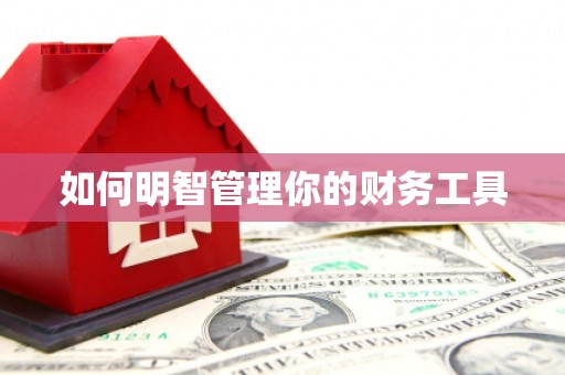 回民如何明智管理你的财务工具