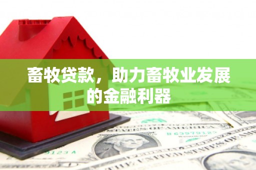 回民畜牧贷款，助力畜牧业发展的金融利器