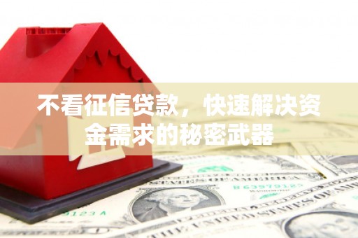 回民不看征信贷款，快速解决资金需求的秘密武器