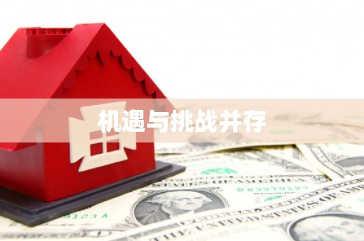 回民机遇与挑战并存