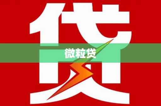 回民微粒贷