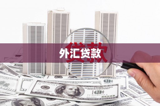 回民外汇贷款
