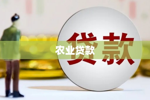 回民农业贷款