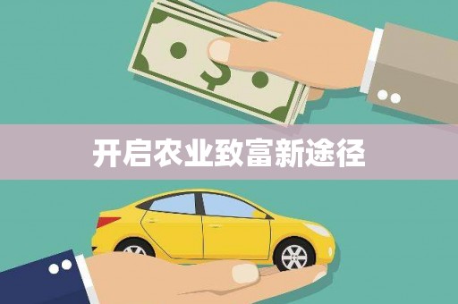 回民开启农业致富新途径