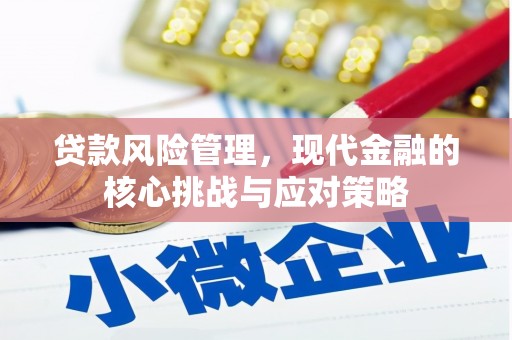 回民贷款风险管理，现代金融的核心挑战与应对策略