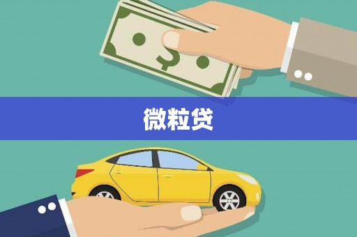 回民微粒贷