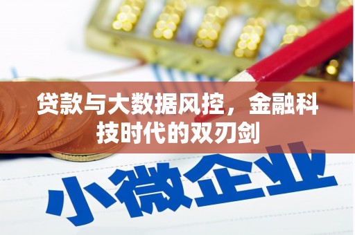 回民贷款与大数据风控，金融科技时代的双刃剑