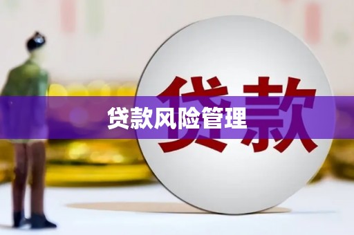 回民贷款风险管理