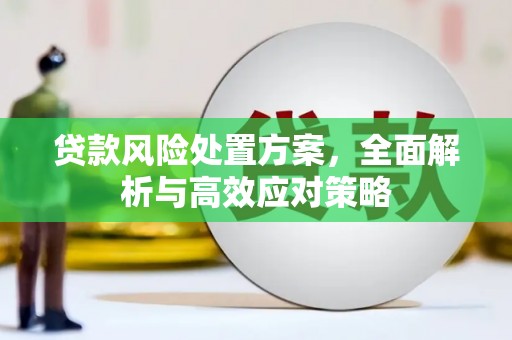 回民贷款风险处置方案，全面解析与高效应对策略