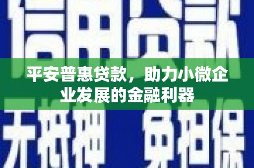 回民平安普惠贷款，助力小微企业发展的金融利器