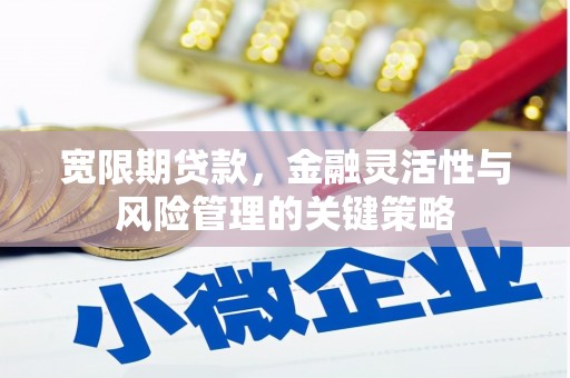 回民宽限期贷款，金融灵活性与风险管理的关键策略
