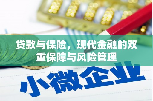 回民贷款与保险，现代金融的双重保障与风险管理