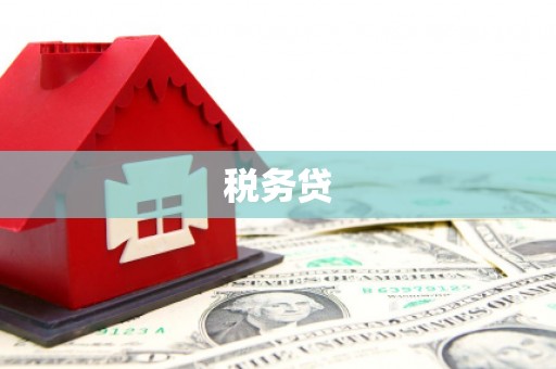 回民税务贷