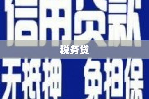 回民税务贷