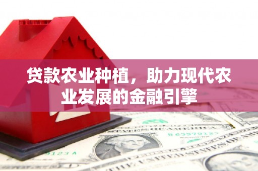 回民贷款农业种植，助力现代农业发展的金融引擎