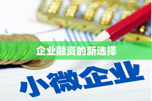 回民企业融资的新选择