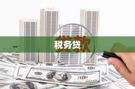 回民税务贷