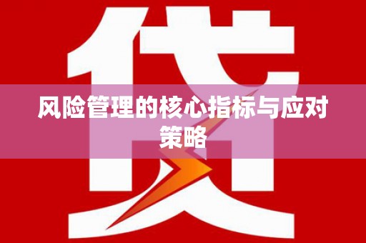 回民风险管理的核心指标与应对策略