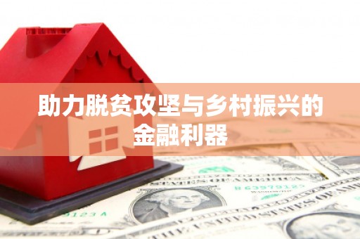 回民助力脱贫攻坚与乡村振兴的金融利器