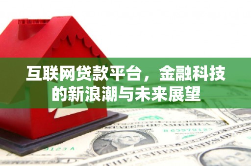 回民互联网贷款平台，金融科技的新浪潮与未来展望