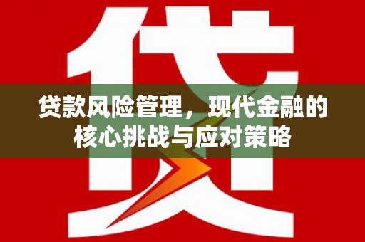 回民贷款风险管理，现代金融的核心挑战与应对策略