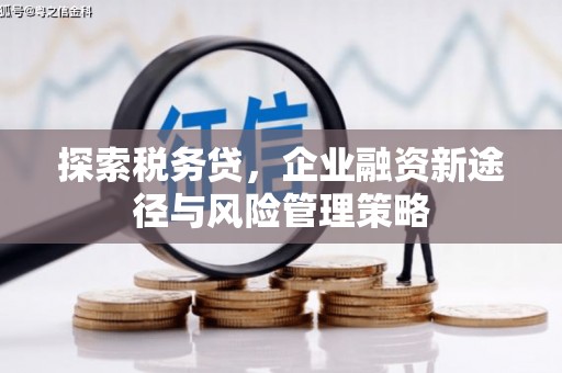 回民探索税务贷，企业融资新途径与风险管理策略