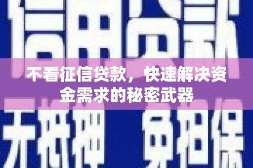 回民不看征信贷款，快速解决资金需求的秘密武器
