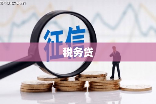 回民税务贷