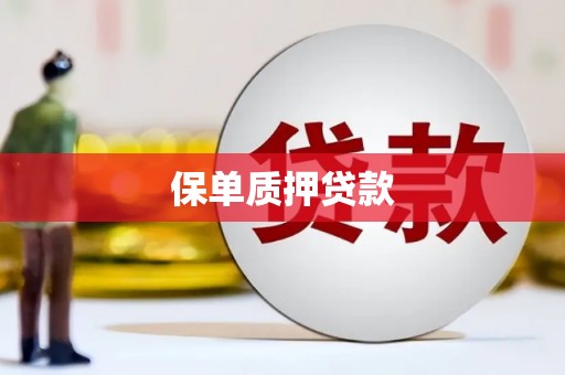 回民保单质押贷款