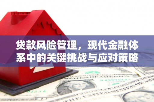回民贷款风险管理，现代金融体系中的关键挑战与应对策略