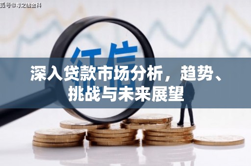 回民深入贷款市场分析，趋势、挑战与未来展望