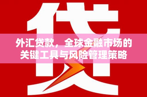 回民外汇贷款，全球金融市场的关键工具与风险管理策略