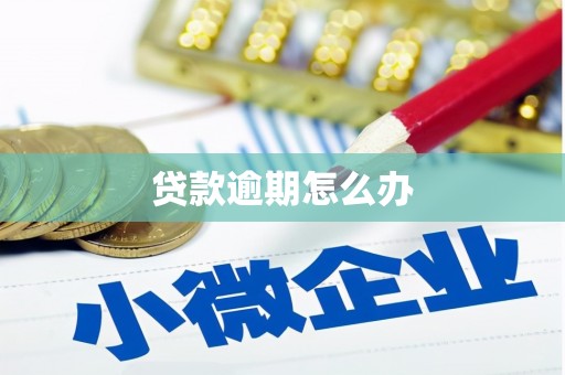 回民贷款逾期怎么办