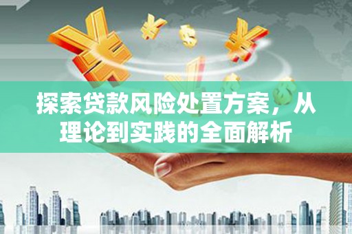 回民探索贷款风险处置方案，从理论到实践的全面解析
