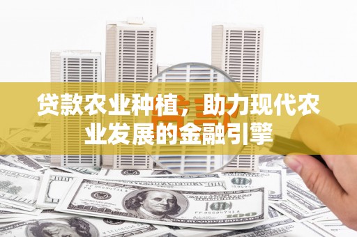 回民贷款农业种植，助力现代农业发展的金融引擎
