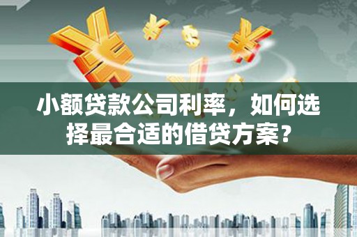 回民小额贷款公司利率，如何选择最合适的借贷方案？
