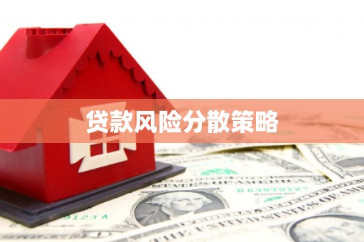 回民贷款风险分散策略