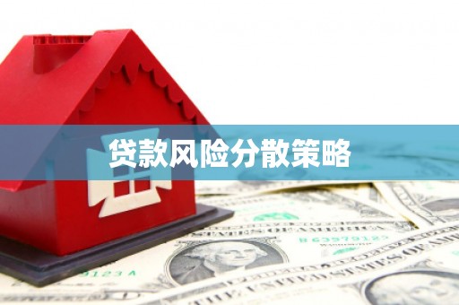 回民贷款风险分散策略