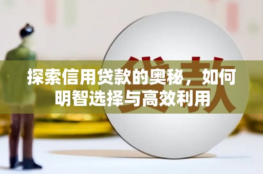 回民探索信用贷款的奥秘，如何明智选择与高效利用