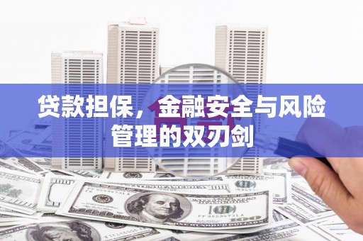 回民贷款担保，金融安全与风险管理的双刃剑