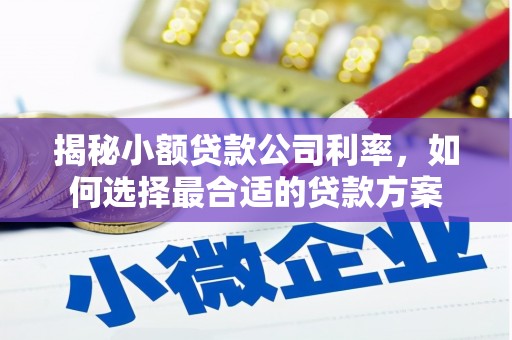 回民揭秘小额贷款公司利率，如何选择最合适的贷款方案