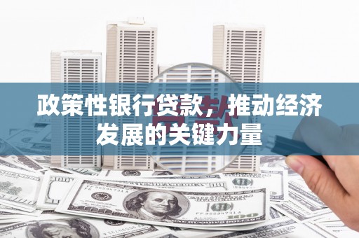 回民政策性银行贷款，推动经济发展的关键力量
