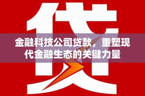 回民金融科技公司贷款，重塑现代金融生态的关键力量
