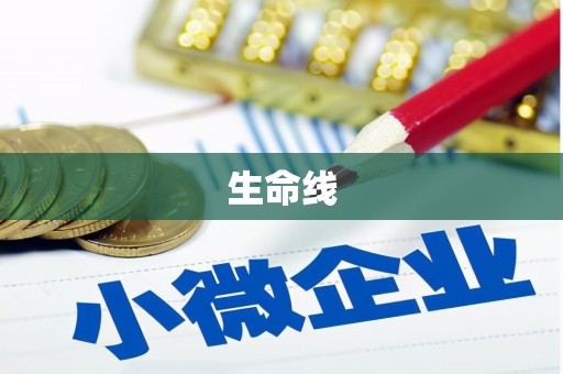 回民生命线