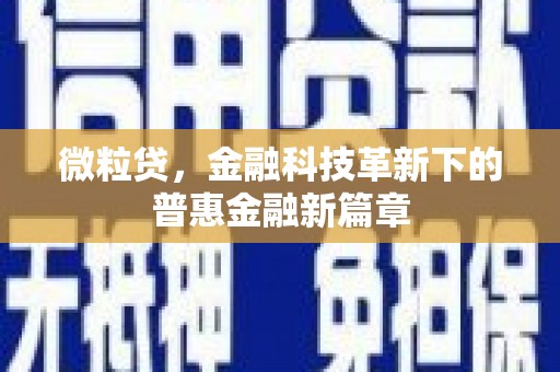 回民微粒贷，金融科技革新下的普惠金融新篇章