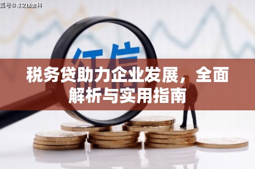 回民税务贷助力企业发展，全面解析与实用指南