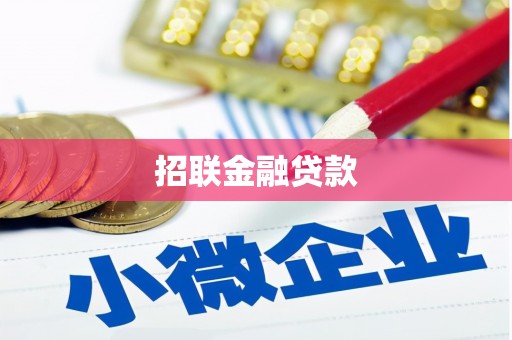 回民招联金融贷款