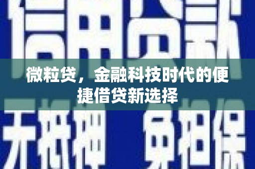 回民微粒贷，金融科技时代的便捷借贷新选择